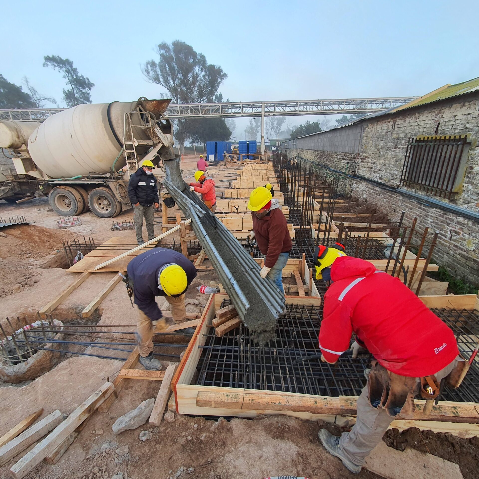 Base Completa Para Cartón Freezer