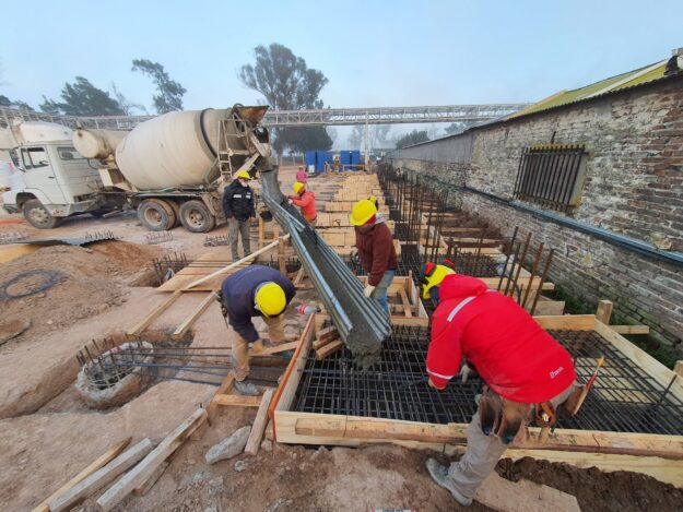 Base Completa Para Cartón Freezer