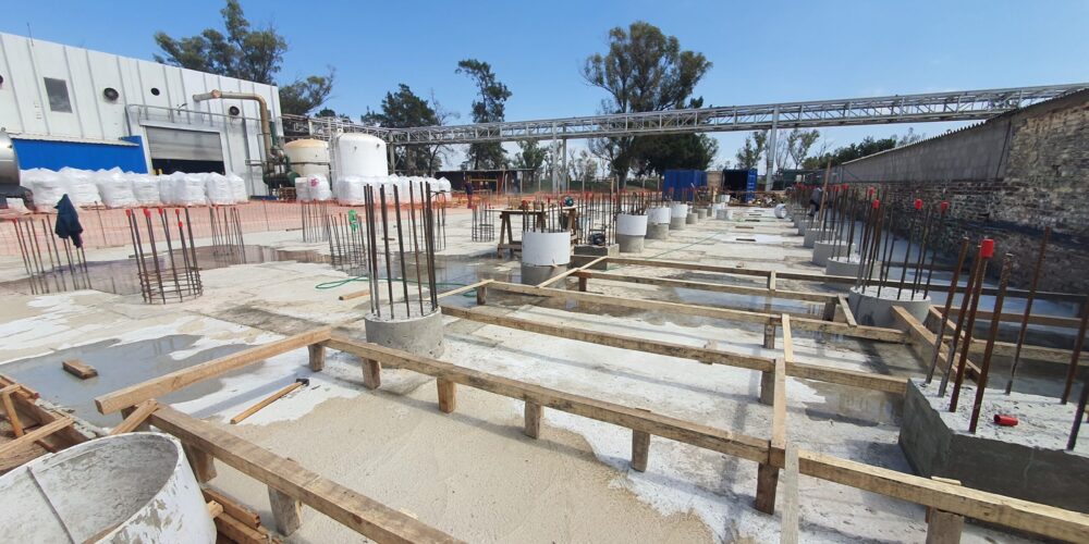 Base Completa Para Cartón Freezer